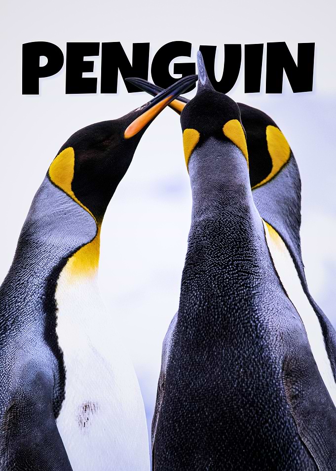 Penguin portrait