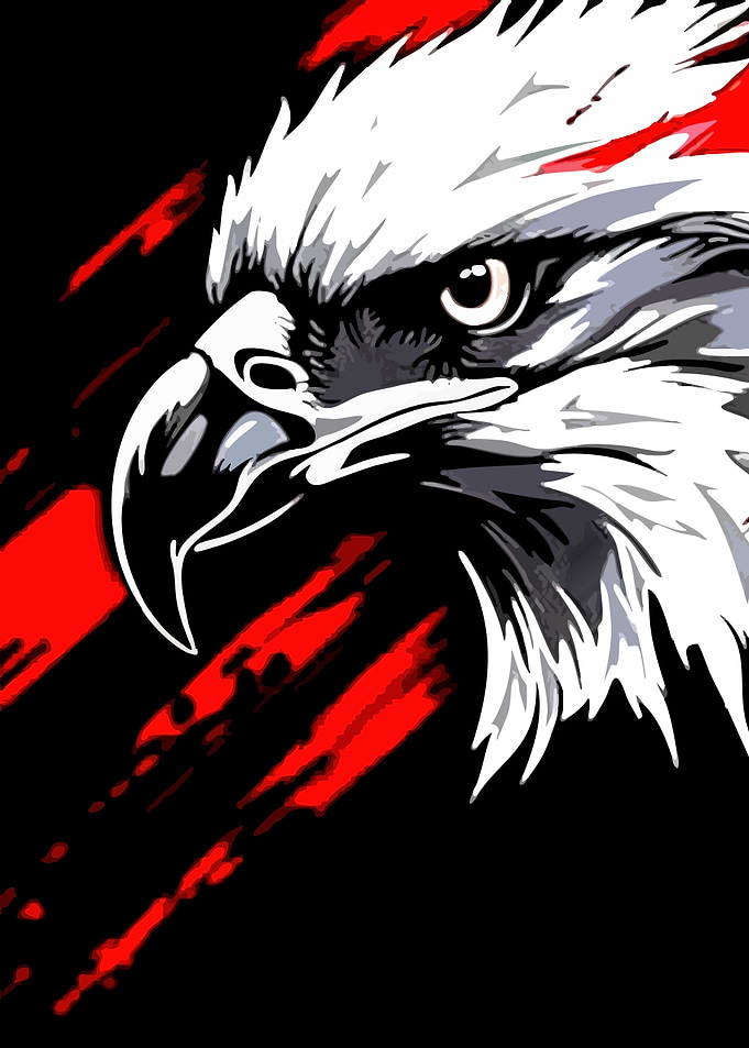 Eagle Head Graphic Art