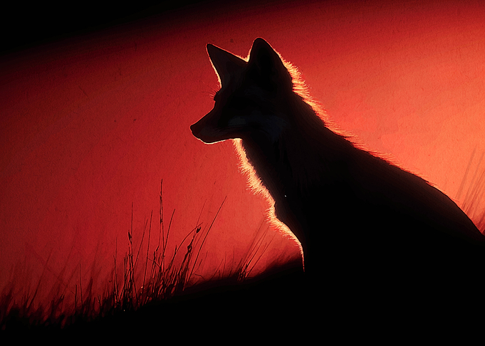 Silhouette of a Fox Against Red Sky