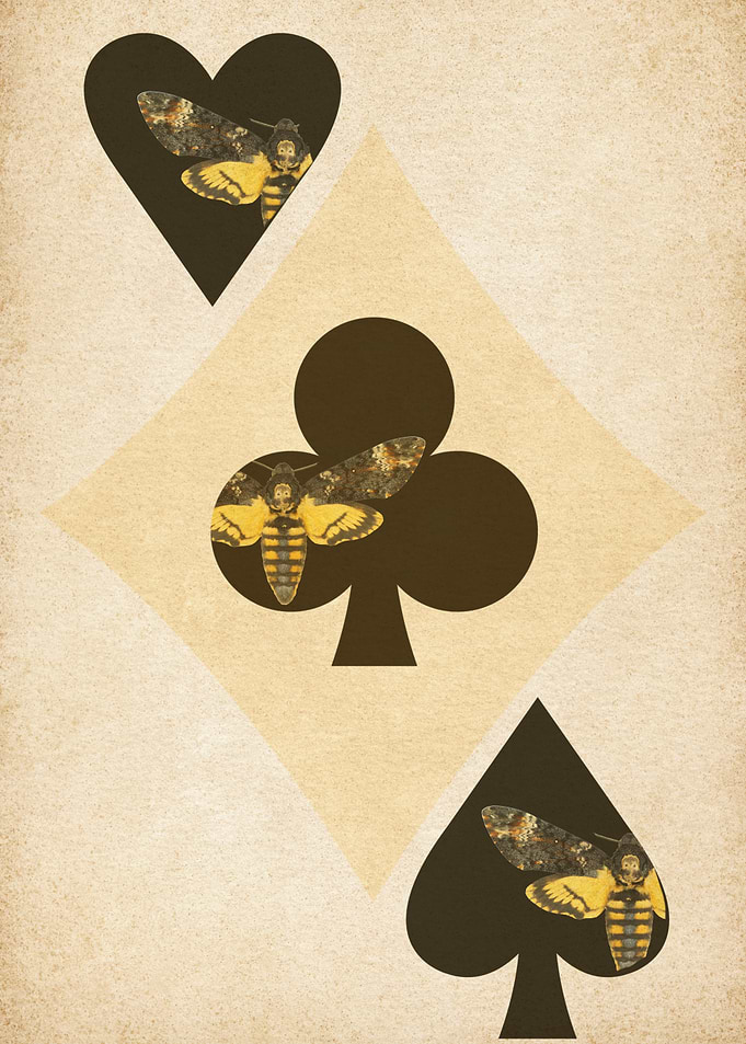 Moth Playing Card Suits Illustration