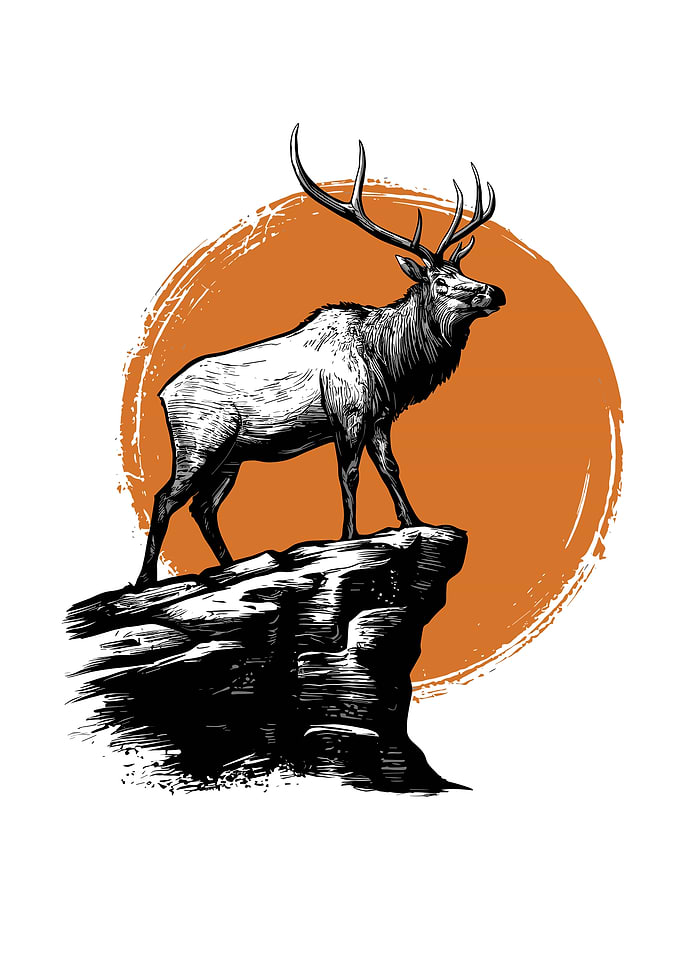Majestic Wilderness – King of the Cliff