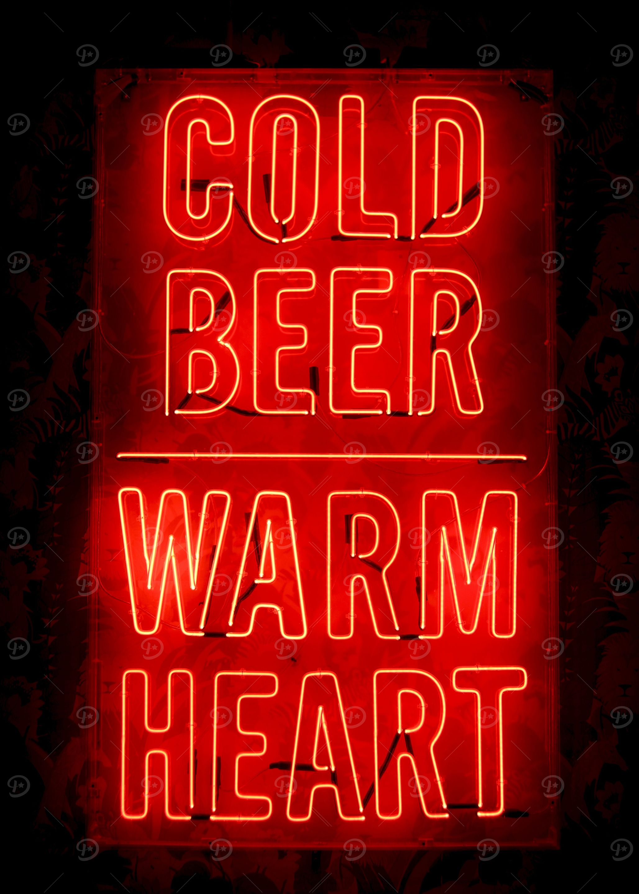 Cold Beer Warm Heart Neon Sign