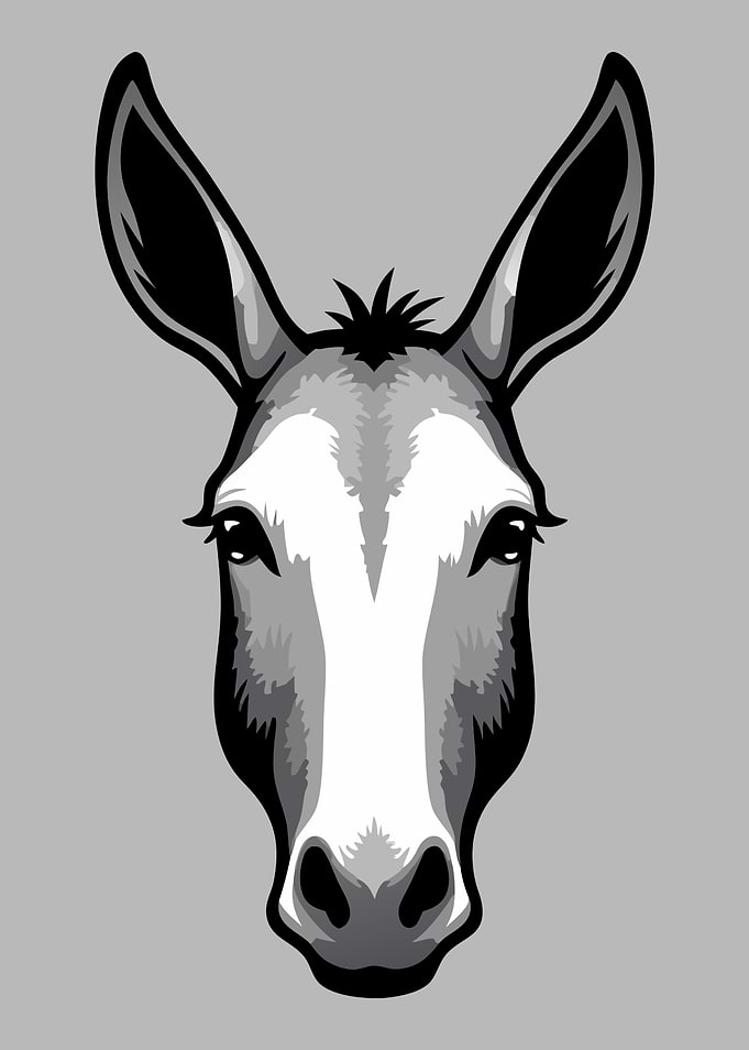 Mule Donkey Head Illustration
