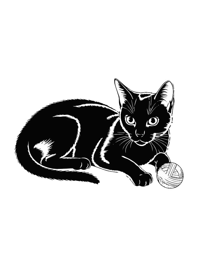 Cat Playing With Yarn Ball