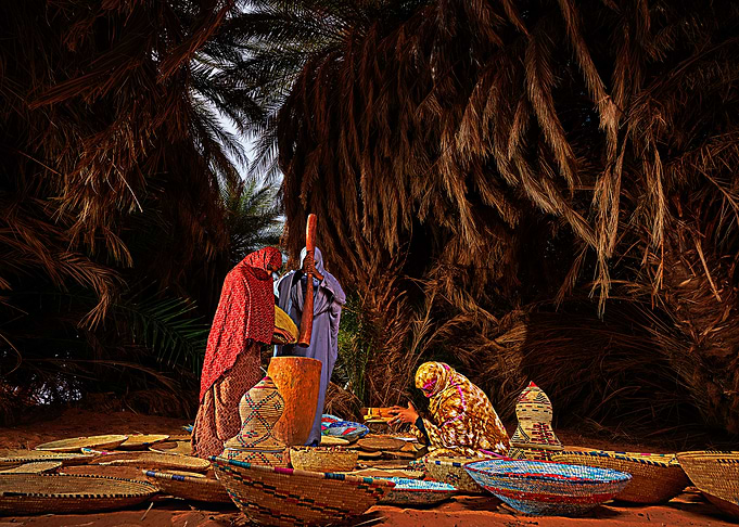 African women working in a palm grove