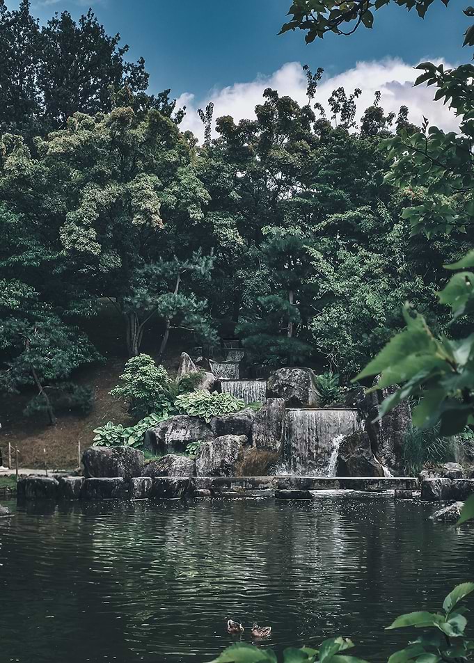 Waterfall in a Lush Green Garden