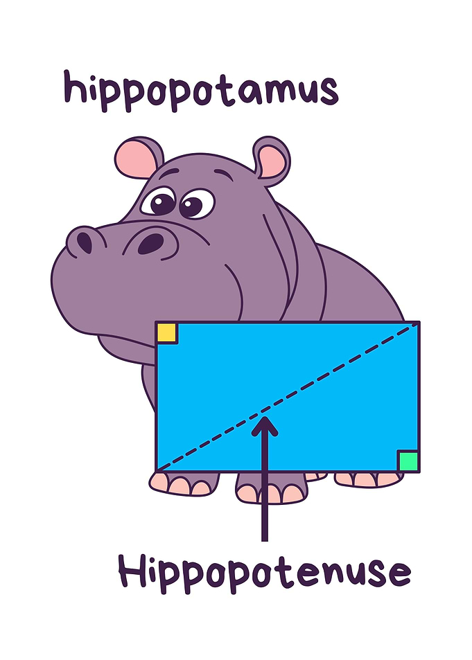 Hippopotamus and Hippopotenuse Cartoon