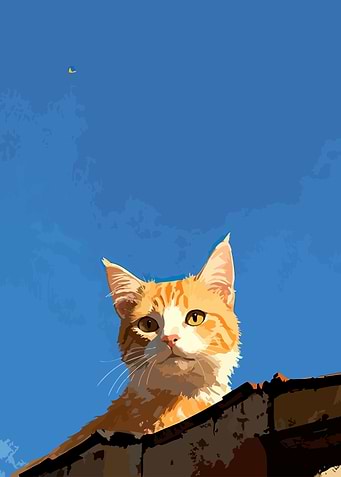 Ginger Cat on Roof