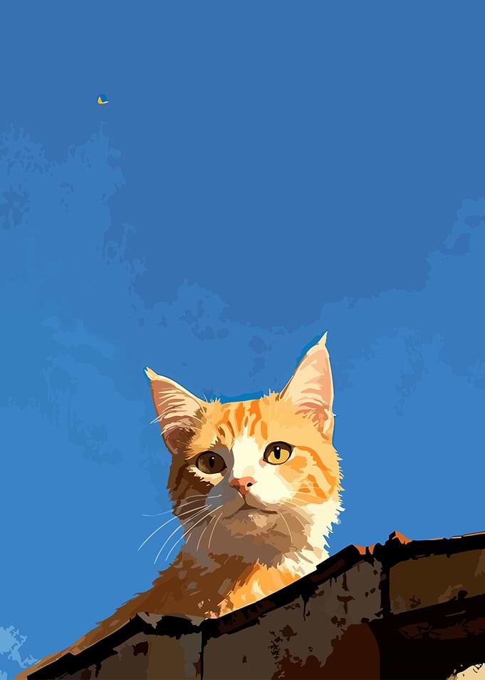 Ginger Cat on Roof