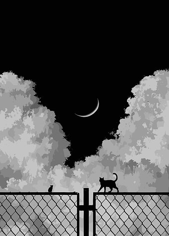 Cats on Fence Under Crescent Moon