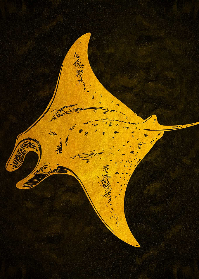 Golden Manta Ray