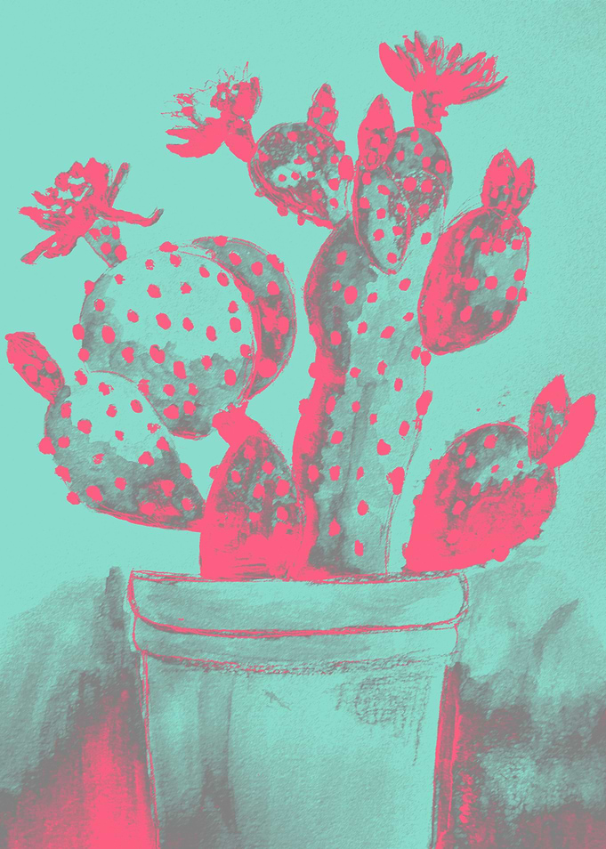 The Funky Cactus - Pink and Teal