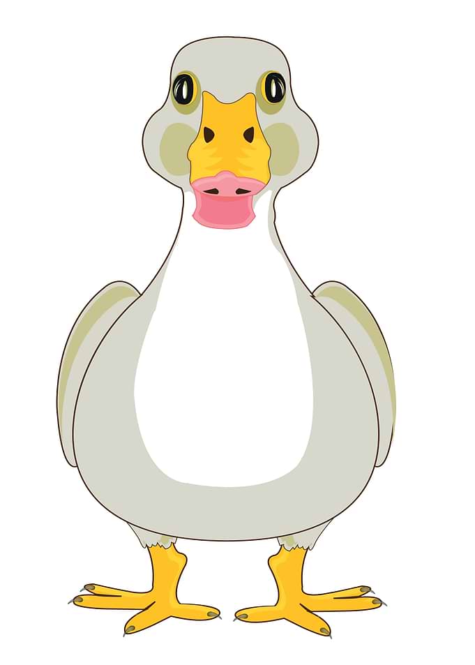 Cartoon Goose Illustration