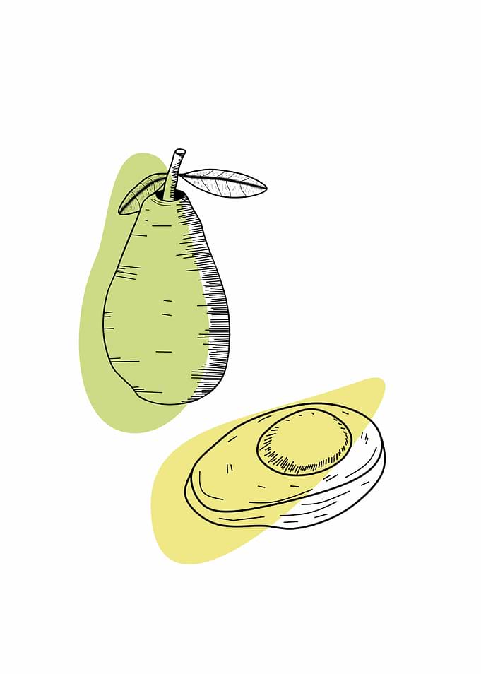 Avocado and Pear Sketch Illustration