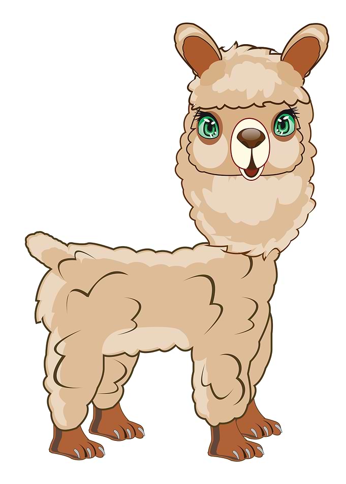 Cartoon Alpaca Illustration