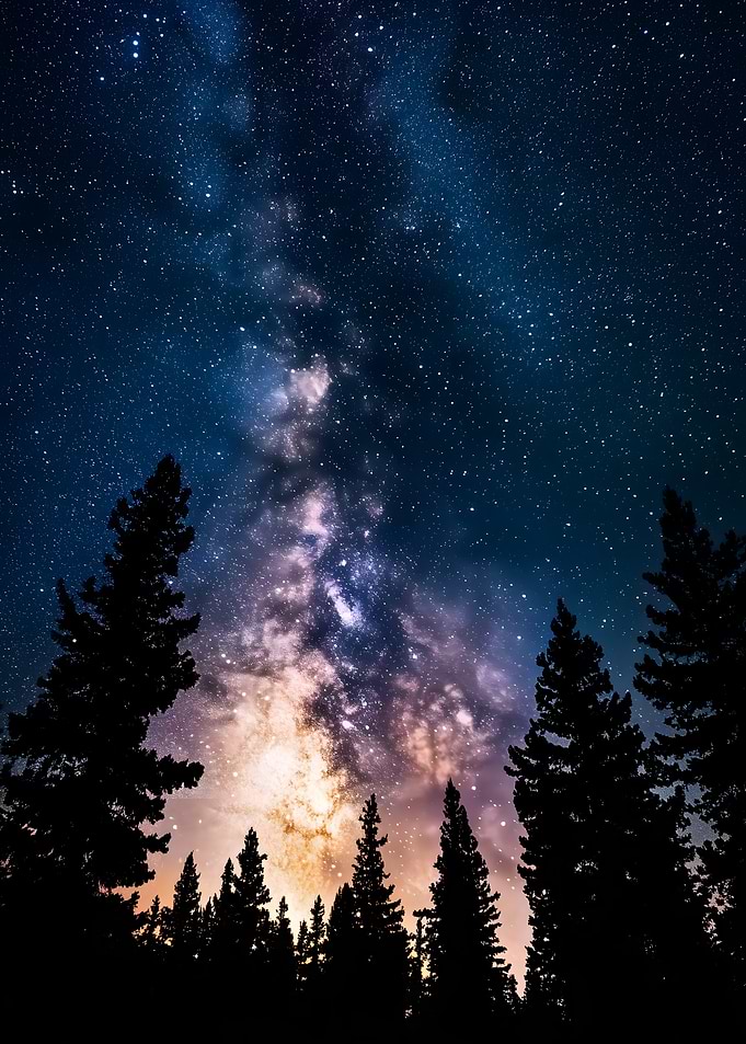 Milky Way over Forest Silhouette