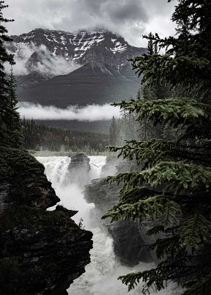 Mountain Waterfall Landscape with Evergreen Trees