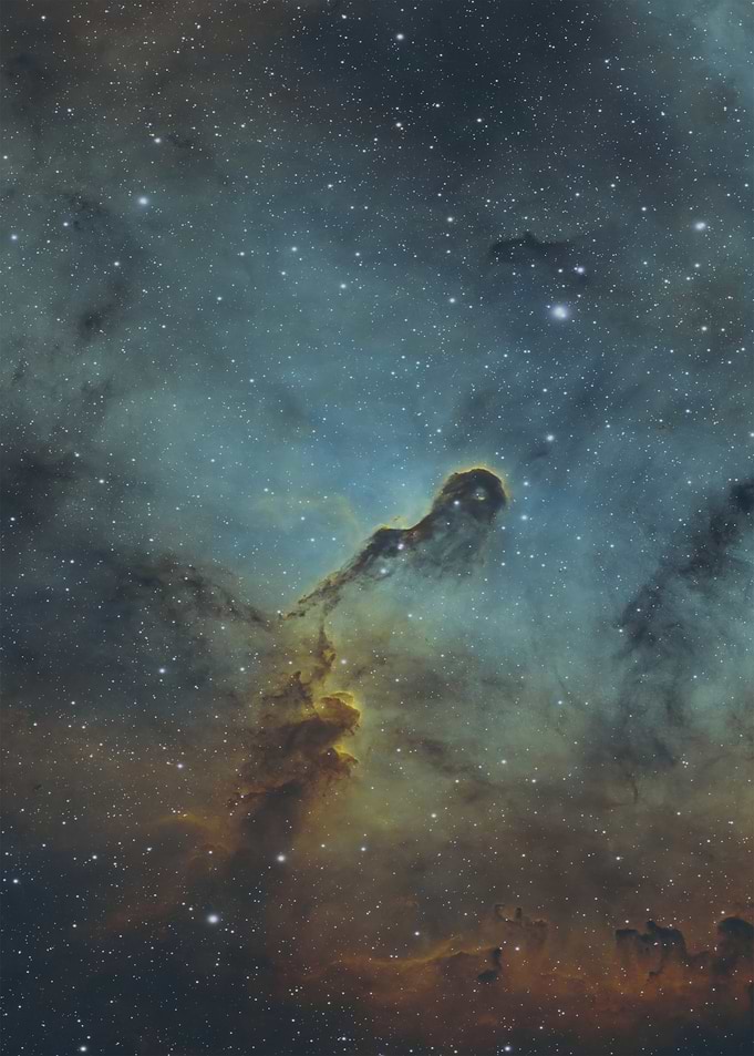 Elephant's Trunk Nebula