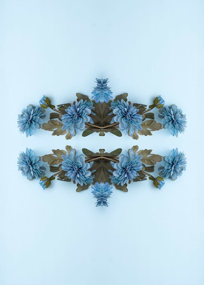 Floral Symmetry on Light Blue Background