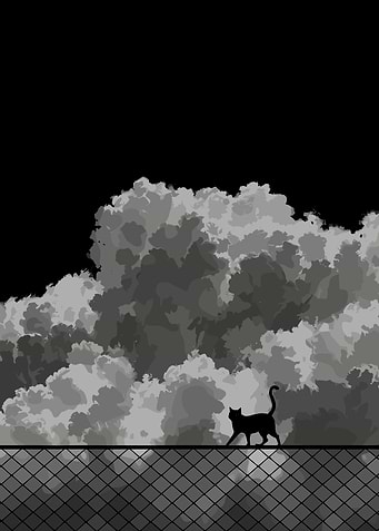 Black Cat on Fence with Clouds