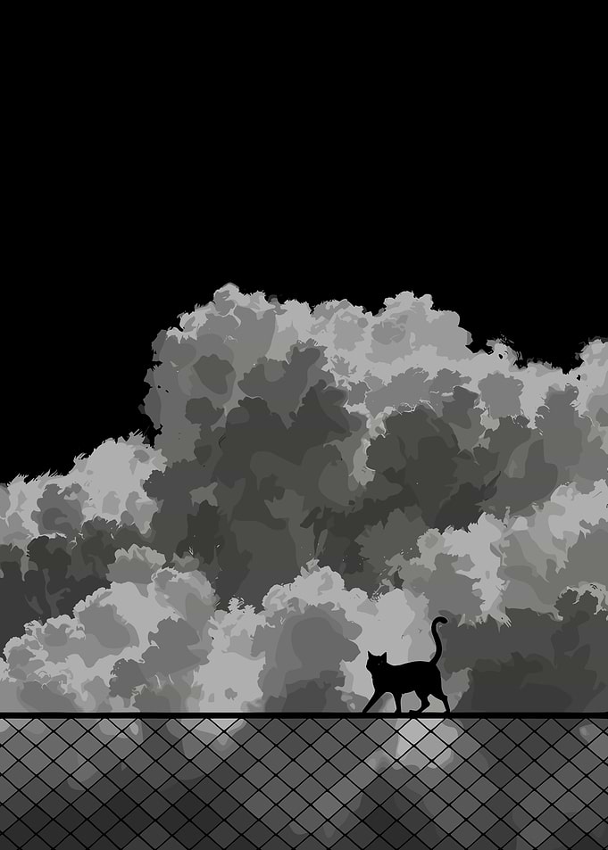 Black Cat on Fence with Clouds