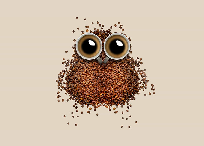 Coffee Bean Owl