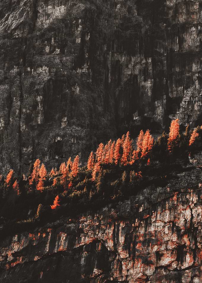 Mountain Ridge with Autumn Trees