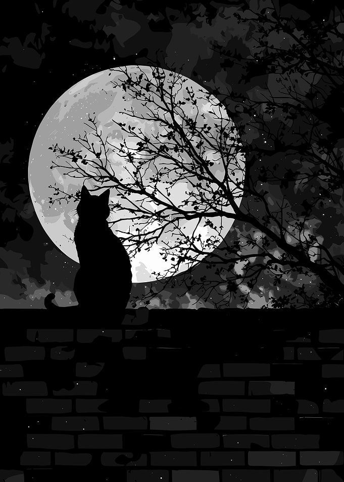 Black Cat Silhouette Under Full Moon