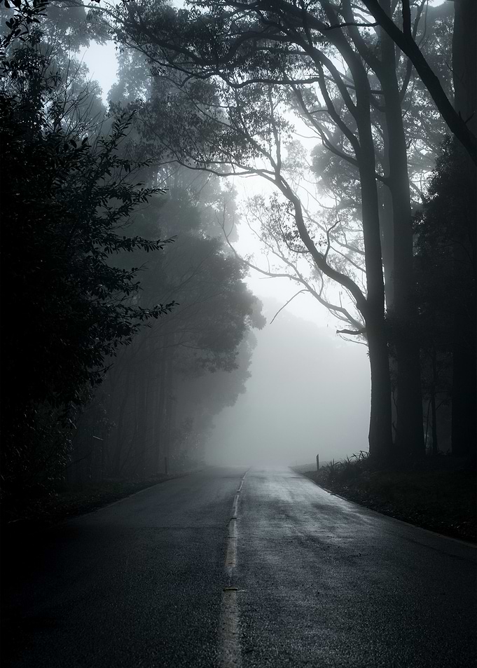 Misty Road Through Forest