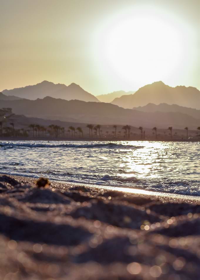 Beach Sunset