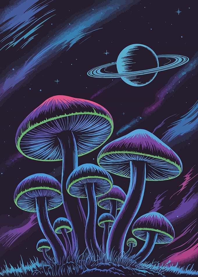Psychedelic Mushrooms and Space