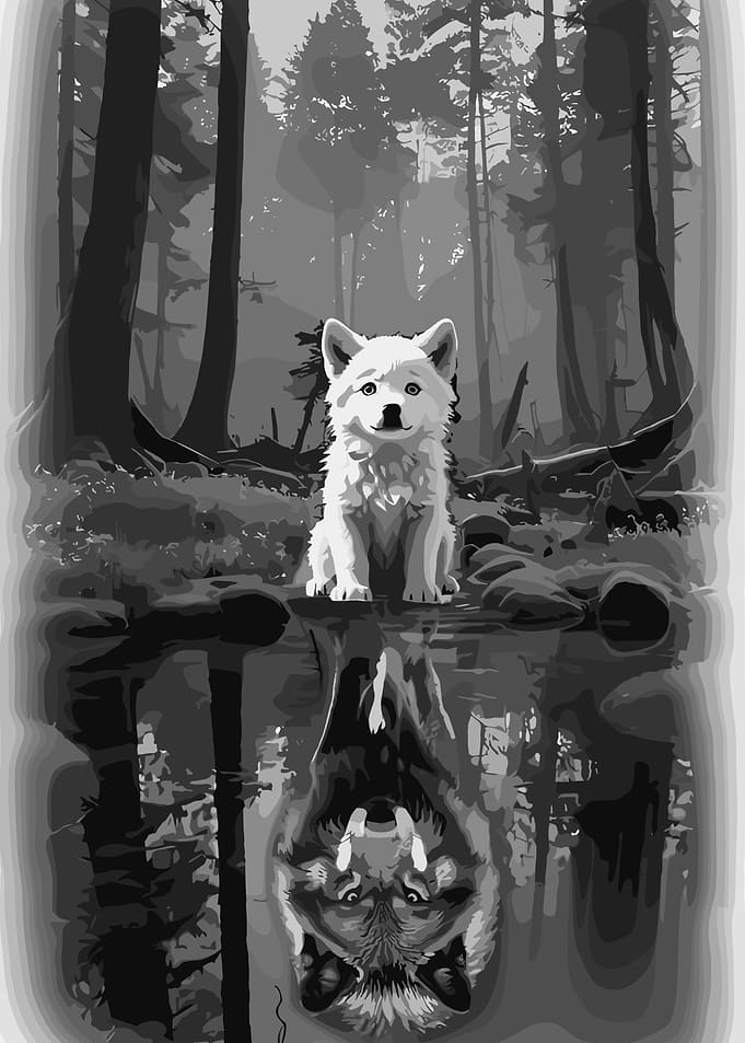Wolf cub and reflection in water
