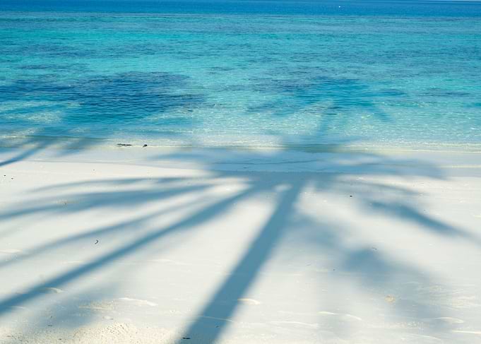 Tropical Beach with Palm Tree Shadow
