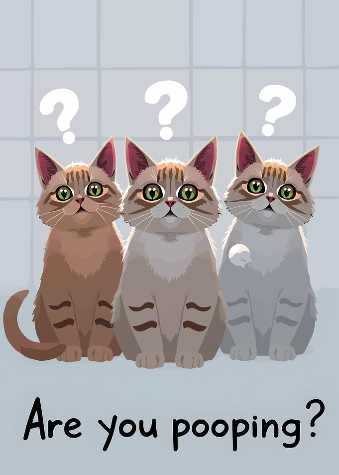 Three Cats with Question Marks