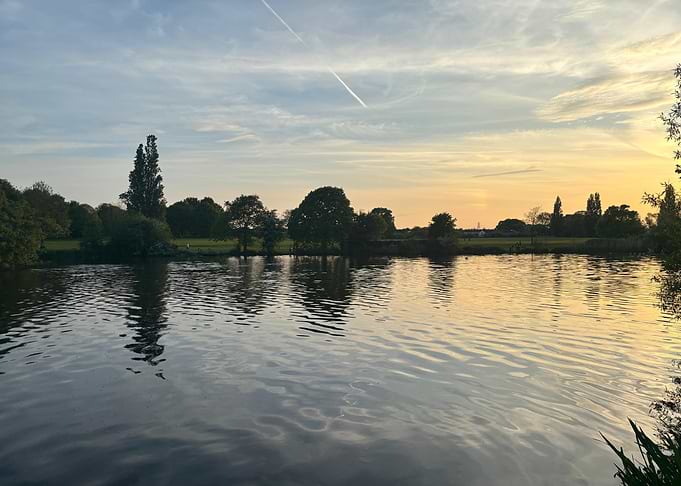 Golden Reflections