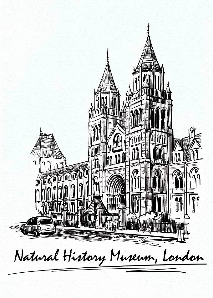 Natural History Museum, London Sketch