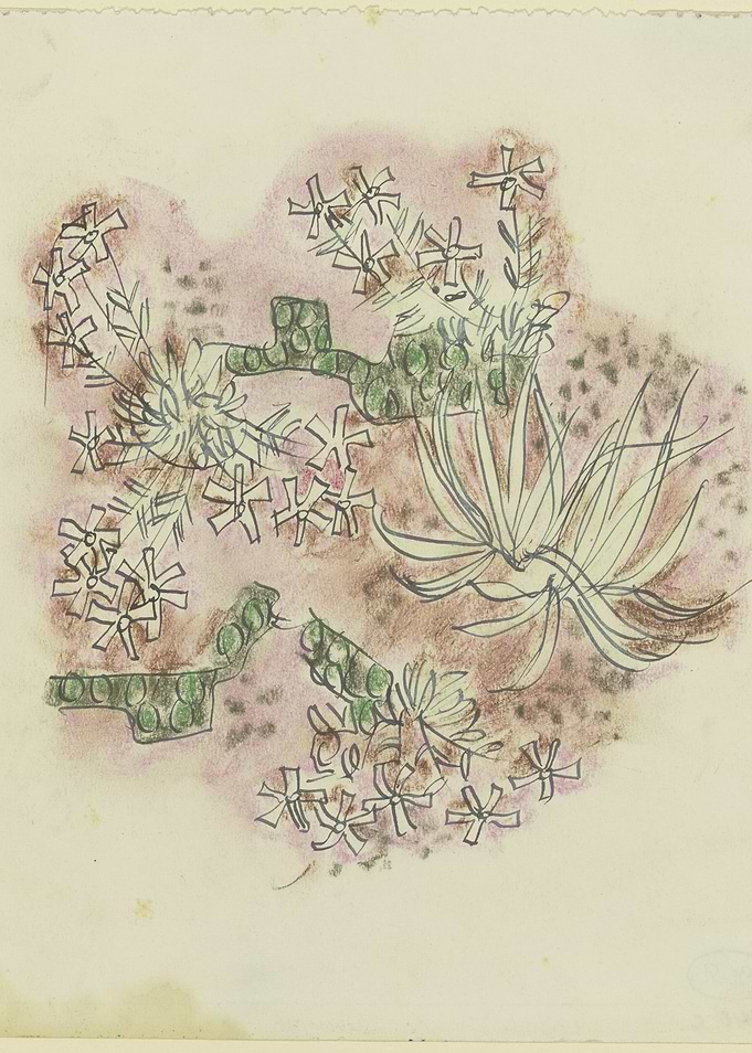 Botanical Sketch with Flowers and Succulents