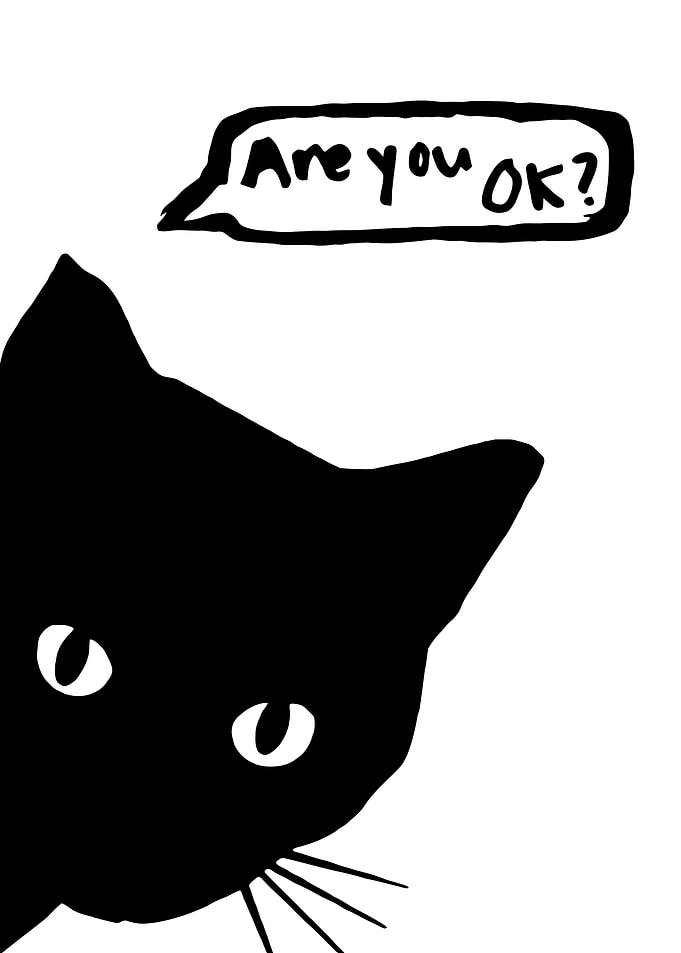 Black Cat 'Are you OK?'