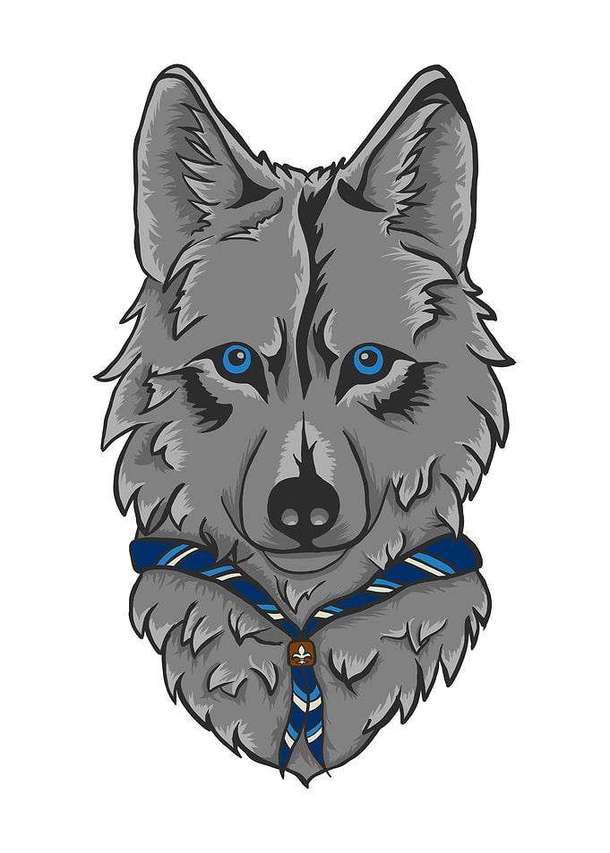 Wolf Scout Cartoon Illustration