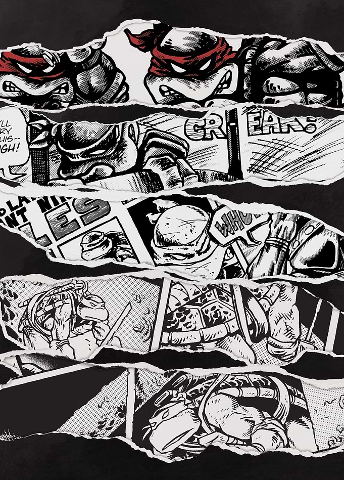 TMNT: Eastman and Laird Comic Strip Collage