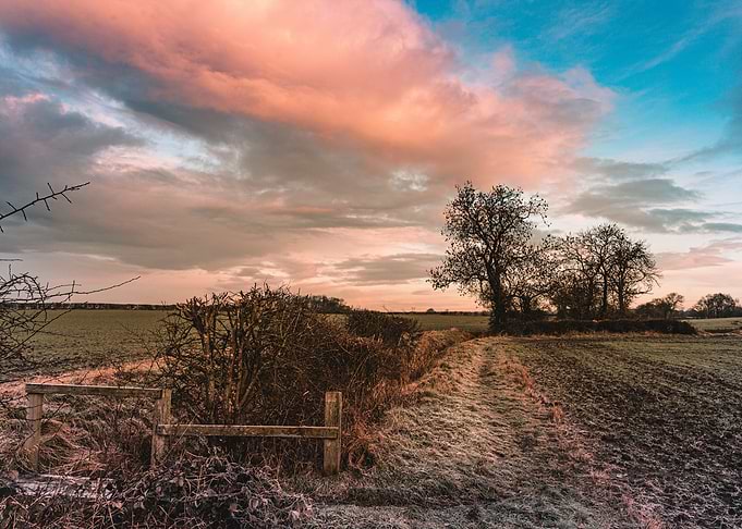 Rural Landscape at Dusk