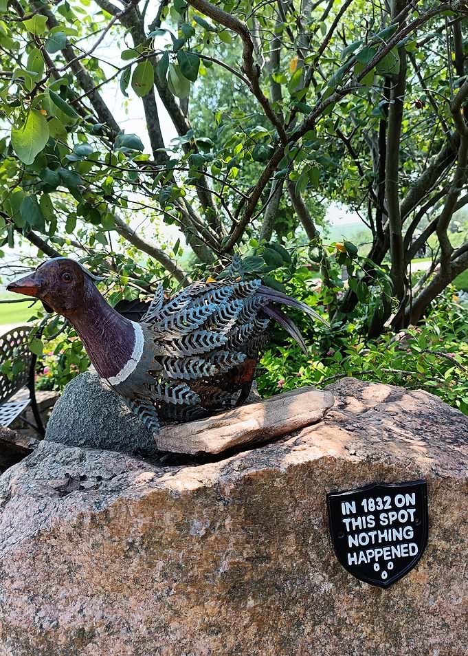 Metal Duck Sculpture on Rock and Funny Text