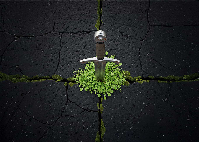 Natures Sword In Stone