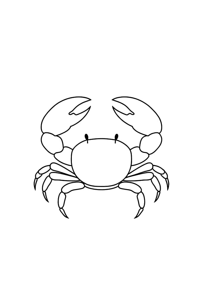Crab Minimalist Line Art