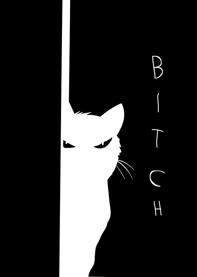 Black and White Cat Silhouette