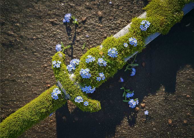 Moss Covered Sword