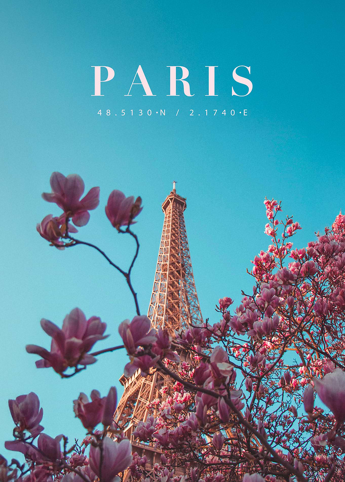 Paris Eiffel Tower with Magnolia Blossoms