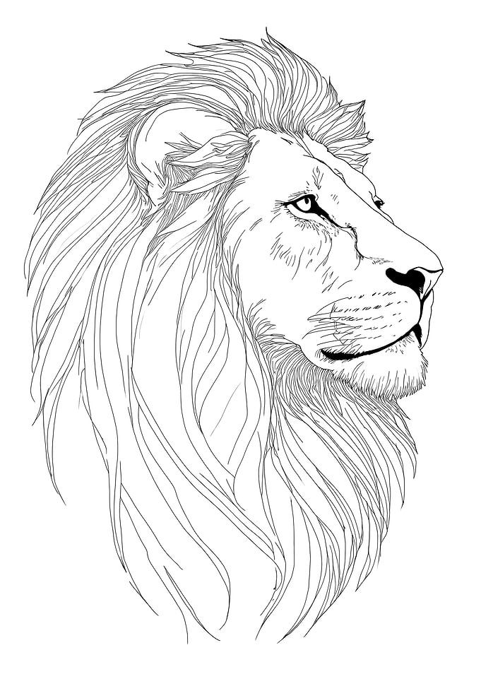 Lion Head Minimalist Line Art