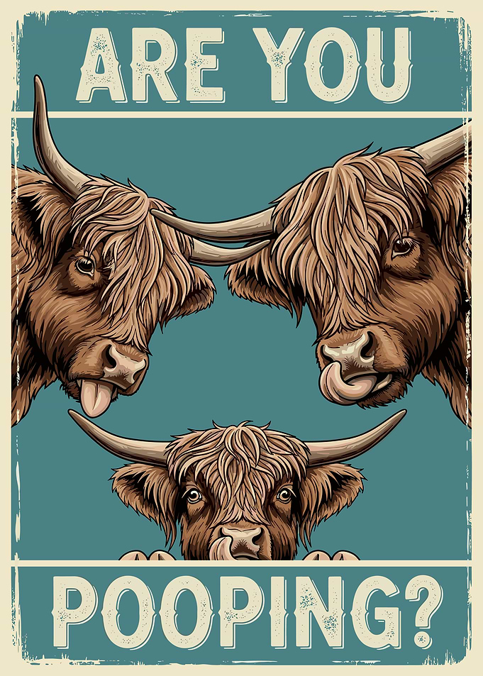 Are You Pooping? Highland Cow Art