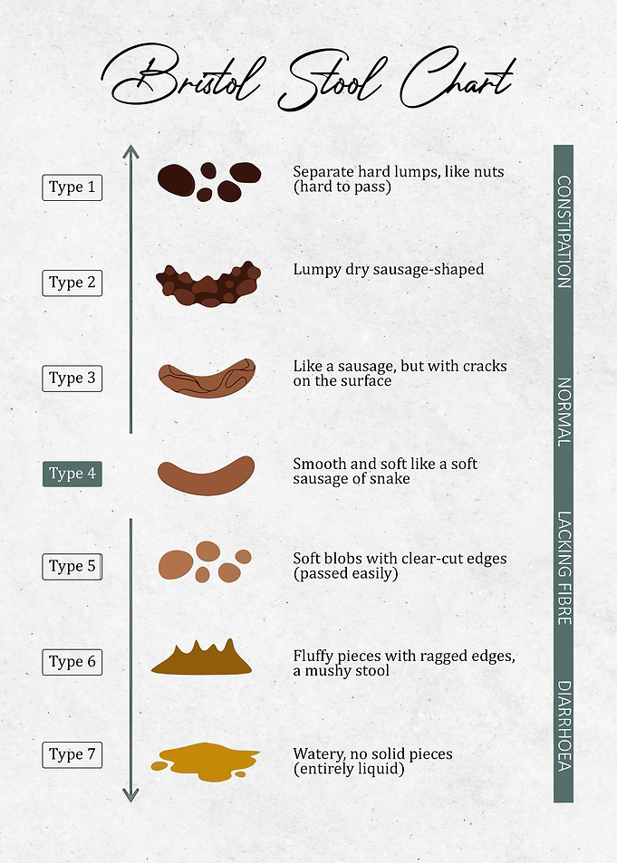 Bristol Stool Chart Medical Diagram